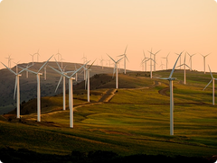 Renewable